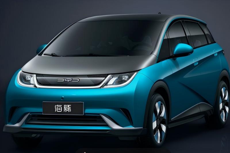 Dowway Vehicle Project case BYD Dolphin