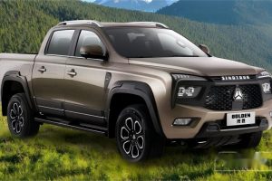 Dowway Vehicle Project case SINOTRUK BOLDEN