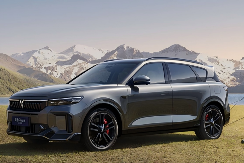 Dowway Vehicle Project case Voyah Free