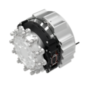 Wheel Hub Motor